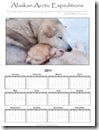 11x17_calendar_pups 