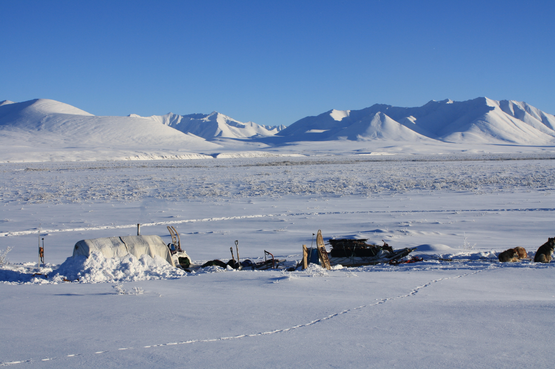 Cobalt Arctic Expedition